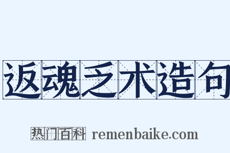 返魂乏术造句是什么意思的图片